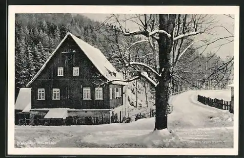 AK Penig, Waldgasthaus Höllmühle
