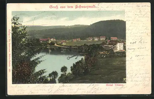 AK Schwarzwald, Titisee Hotel