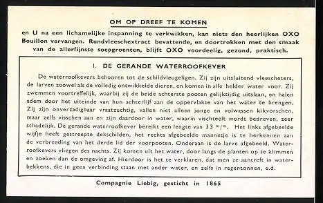 Sammelbild Liebig, In het Water levende Insecten, 1. De gerande Waterroofkever