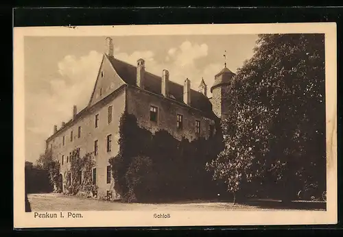 AK Penkun i. Pom., Schloss, Seitenansicht mit Turm