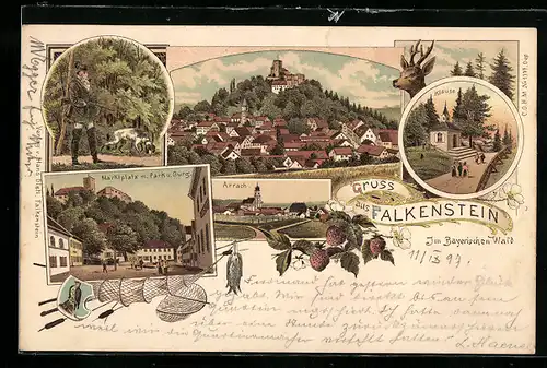 Lithographie Falkenstein im Bayerischen Wald, Klause, Marktplatz mit Park und Burg, Arrach
