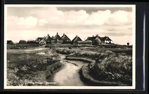 AK Hallig Hooge-Hanswarf, Ortsansicht bei Tag