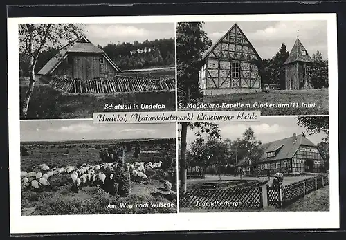 AK Undeloh /Lüneburger Heide, Jugenderberge, Schafstall in Undeloh