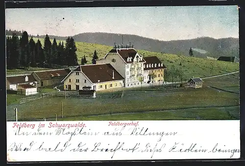 AK Feldberg / Schwarzwald, Gasthaus Feldbergerhof