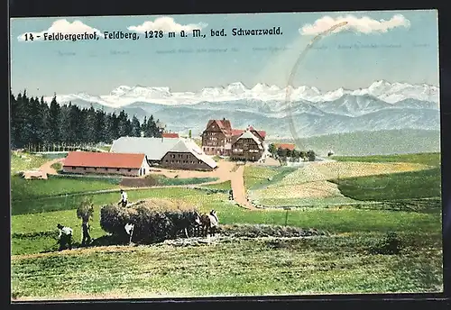 AK Feldberg /Bad. Schwarzwald, Ortsansicht mit Hotel Feldbergerhof