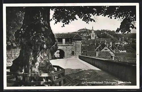 AK Tübingen, An der Schlosslinde
