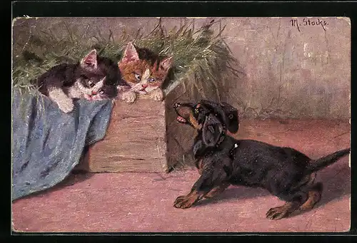 AK Dackel bellt zwei niedliche Kätzchen an