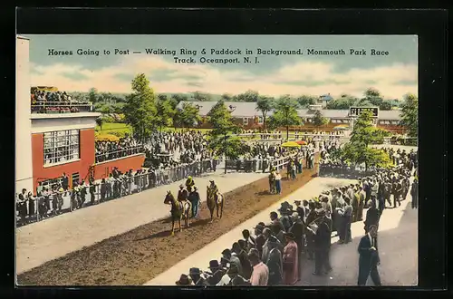 AK Oceanport, N. J., Horses going to Post, Walking Ring & Paddock in Background