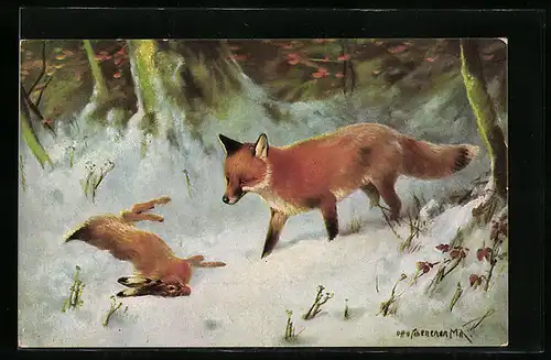 AK Fuchs mit totem Hasen im Schnee