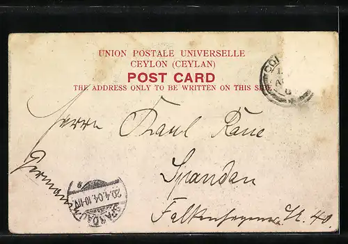 AK Ceylon, Elefanten mit Führern an einem Fluss