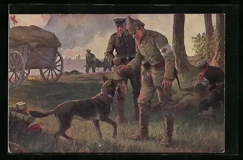 AK Ein treuer Helfer, Sanitätshund im Einsatz