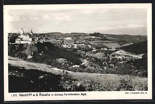 AK Neustift a. d. Rosalia, Ortsansicht mit Schloss Forchtenstein