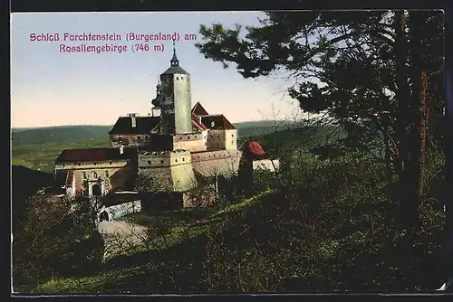 AK Forchtenstein am Rosaliengebirge, Blick auf das Schloss bei Tag