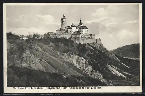 AK Forchtenstein am Rosaliengebirge, Ansicht vom Schloss