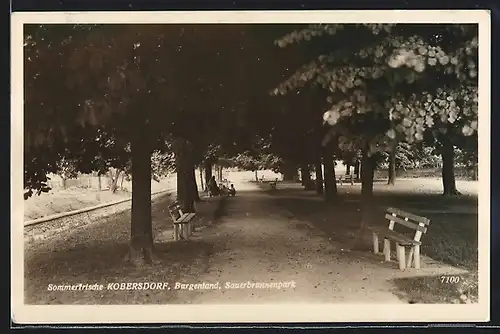 AK Kobersdorf, Blick in den Sauerbrunnenpark