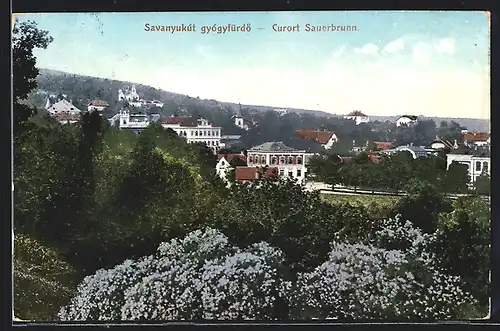 AK Sauerbrunn, Ortsansicht im Frühling
