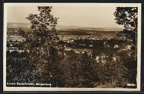AK Sauerbrunn, Ortsansicht mit Wald