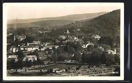 AK Sauerbrunn, Ortsansicht mit Feld