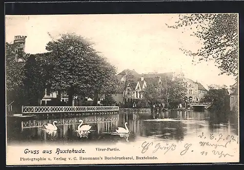 AK Buxtehude, Viver-Partie