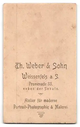 Fotografie Th. Weber & Sohn, Weissenfels a. S., Promenade 33, Junge Dame in weisser Kleidung