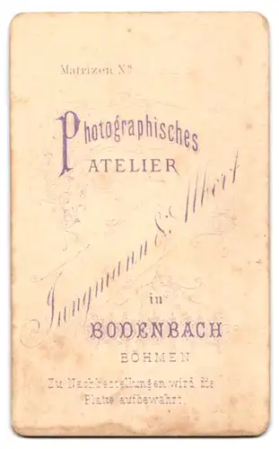Fotografie Jungmann & Albert, Bodenbach i. Böhmen, junger Mann im Anzug mit Fliege vor einer Studiokulisse