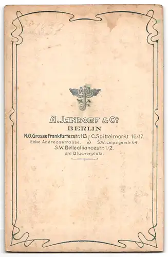 Fotografie A. Jandorf & Co., Berlin, Bellealliancestr. 1-2, Bürgerliche Dame mit einem Buch