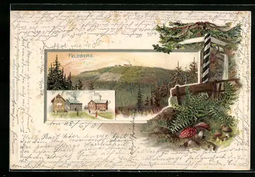 Lithographie Feldberg, Gesamtansicht, Gasthaus auf dem Gipfel, Pilze im Wald