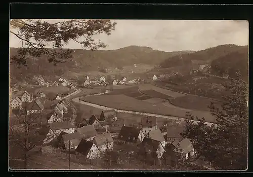 Foto-AK Artelshofen a. Pegnitz, Panorama