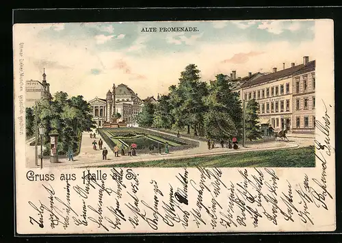 Lithographie Halle / Saale, Alte Promenade