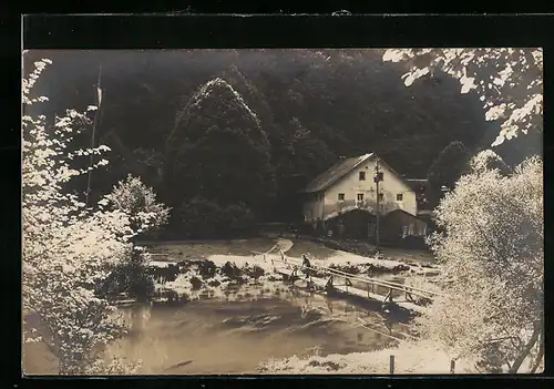 Foto-AK Behringersmühle, Gasthof Stempfermühle