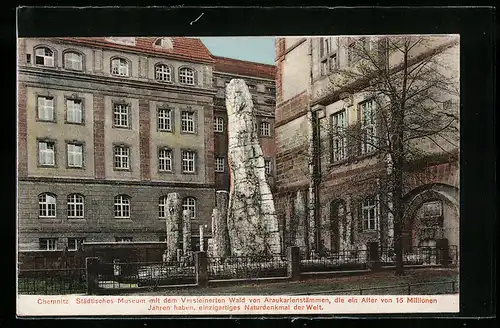 AK Chemnitz, Städtisches Museum mit dem Versteinerten Wald von Araukarienstämmen