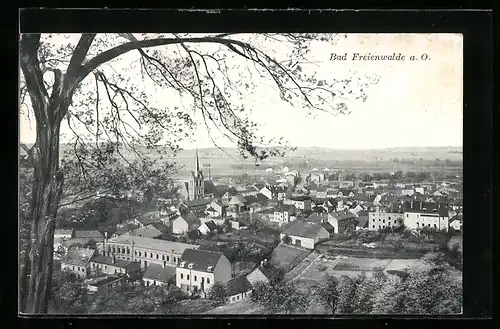 AK Bad Freienwalde a. O., Gesamtansicht