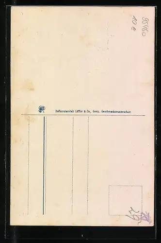 AK Berneck, Ortsansicht, Landkarte Fichtelgebirge