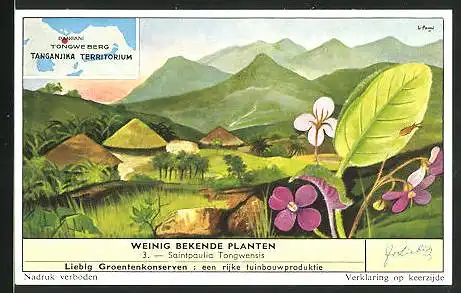Sammelbild Liebig, Pangani, Weinig bekende planten, Saintpaulia Tongwensis, Landkarte mit Tongweberg