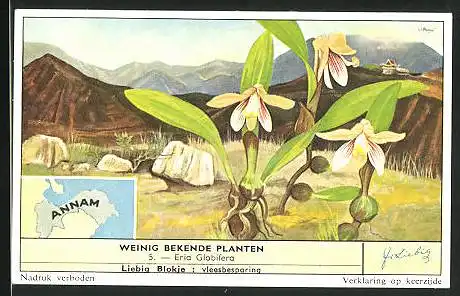 Sammelbild Liebig, Annam, Weinig bekende planten, Eria Globifera, Landkarte