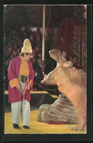 AK Clown steht mit einem Flusspferd in der Zirkusmanege