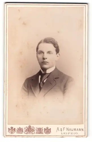 Fotografie A. & F. Naumann, Leipzig, Portrait junger Mann im Jacket mit modischer Krawatte