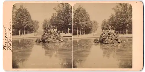 Stereo-Fotografie Fotograf unbekannt, Ansicht Bruxelles, Brunen im Schlosspark