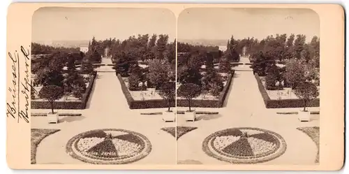 Stereo-Fotografie Fotograf unbekannt, Ansicht Bruxelles, Jardin Botanique