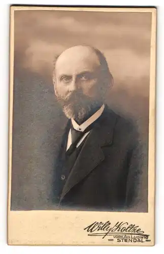 Fotografie Willy Koltze, Stendal, Portrait stattlicher Herr im Anzug mit Krawatte und Vollbart