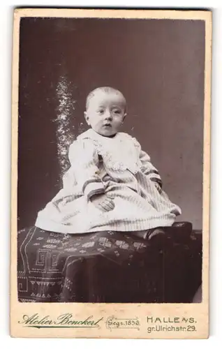 Fotografie Atelier Benckert, Halle a / S., Portrait süsses Kleinkind im gestreiften Kleid auf Tisch sitzend