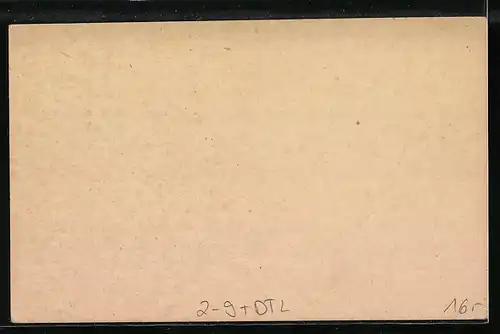 AK Nürnberg, Courier-Karte, Private Stadtpost, 1 1 /2 Pfennig