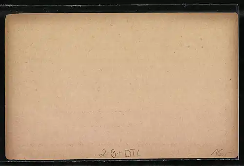 AK Stuttgart, Private Stadtpost, 2 Pfg.