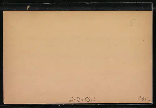 AK Wiesbaden, Private Stadtpost, Transport-Anstalt, 2 Pfg.