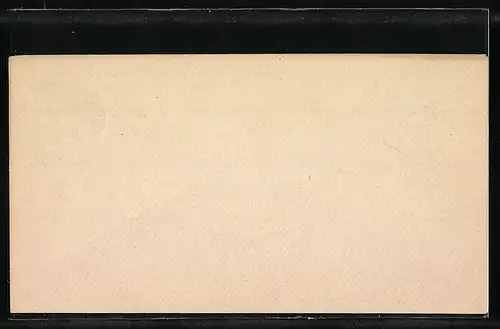 Briefumschlag Frankfurt a. M., 1 Pf. Circular-Post, Stiftungsfest d. Vereins f. Briefmarkenfreunde, Private Stadtpost