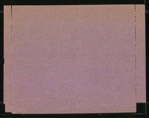 AK Dresden, Stadtbrief, Privat-Brief-Verkehr Hansa, Private Stadtpost