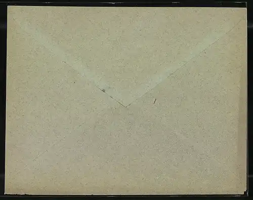 Briefumschlag Frankfurt a. M., Priv. Circular Post, Friedensstrasse 5, Private Stadtpost