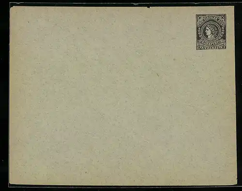 Briefumschlag Frankfurt a. M., Priv. Circular Post, Friedensstrasse 5, Private Stadtpost