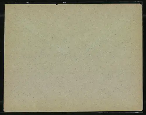 Briefumschlag Frankfurt a. M., Priv. Circular Post, Friedensstrasse 5, Private Stadtpost