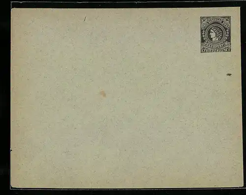 Briefumschlag Frankfurt a. M., Priv. Circular Post, Friedensstrasse 5, Private Stadtpost